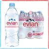 FERRARELLE S.P.A. Evian Acqua Minerale Naturale Francese Cassa Bottiglie Plastica Pet 6x1L