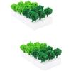 2 Boxes Gruppo Di Vegetazione in Miniatura Cespuglio Tavola Sabbia Artificiale