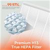 Filtro True HEPA H13 per EE-7002AIR e per HS-1941