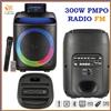 Karma Cassa karaoke bluetooth amplificata professionale con microfono musica acustica