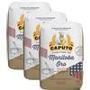 CAPUTO Farina Caputo Classica Pasticceria Pizzeria Nuvola Manitoba - 3 Farine da 1Kg