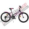 Dino Bikes BICI BICICLETTA BAMBINA DONNA DINO BIKES AURELIA MTB 420D 20 POLLICI 6V