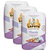 CAPUTO Farina Caputo Classica Pasticceria Pizzeria Nuvola Manitoba - 3 Farine da 1Kg