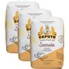 CAPUTO Farina Caputo Classica Pasticceria Pizzeria Nuvola Manitoba - 3 Farine da 1Kg