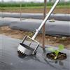 Perforatrice Per Film Pacciamante, Perforatrice Per Copertura Del Terreno