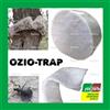 MANIVER TRAPPOLA OZIORRINCO OZIO TRAP OVATTA ALBERI AGRICOLTURA BIOLOGICA INSETTI OLIVO