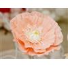 Carpe Diem Shop Anemone Gigante in Carta Crespa Ø58cm | Fiori Giganti per Allestimenti Feste ...