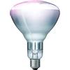 PHILIPS LAMPADA INFRAROSSI 250 WATT TRASPARENTE RISCALDAMENTO TERAPEUTICO PER ANIMALI