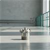 Ugello Atomizzatore in Acciaio Inox Uniforme Ugello Nebulizzatore a Sette Fori