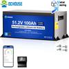 DCHOUSE 48V 100Ah Batteria per carrello da golf al litio Bluetooth LiFePO4 con monitor