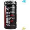 Anderson Amino 4 Complex 200 cpr. Aminoacidi ramificati BCAA Zinco Arginina AKG