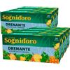 Sogni d oro Sognid'oro Tisana Drenante Infuso con Estratti Naturali di Betulla Ananas Guaran
