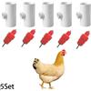 Acqua Abbeveratoio Pollame Capezzoli Pollo Gallina Drinker&fitting Top Saldi