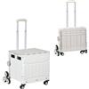 Altro Carrello Spesa Pieghevole, Carrello in Alluminio, Ruote per Scale, Bianco