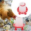 Mangiatoie Per Galline Mangiatoia Pollame Pulcini Contenitore Cibo Uccelli