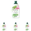 L'Angelica Officinalis, Bagnodoccia Canapa e Rosa, Nutre e Rivitalizza, Pelle Rigenerata e Morbida, Senza Parabeni, Siliconi e OGM, 500ml (Confezione da 4)