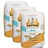 CAPUTO Farina Caputo Classica Pasticceria Pizzeria Nuvola Manitoba - 3 Farine da 1Kg