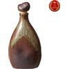 Shigaraki Ware Shochu Server Old Shigaraki Radium Bottle Sake Made in Japan F/S