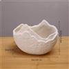 Vaso Per Piante Acquatiche, Vaso Moderno Minimalista, Centrotavola