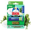 Duck Fresh Discs Base per Dischi Gel Igienizzanti WC, Fragranza Rosa e Fiori di Loto, Confezione da 1 Applicatore e 6 Dischetti