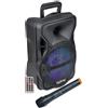 Altoparlante - Karma Diffusore Amplificato Con Telecomando E Microfono Lx 8