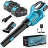 21V Soffiatore a Batteria, Soffiatore Foglie con 2 Batterie 4,0Ah, 3 Impostazion