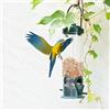 Wilderness Solid Bird Case Case Outdoor Bird Meeder per casa