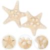 2 Pcs Ornamenti Per Decorazioni Acquari Ornamento Di Stelle Marine