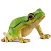 Schleich Wild Life | Raganella Europea 14882 | 4 x 5 x 3 cm