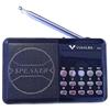 TrAdE Shop Traesio RADIO FM 32A LETTORE MUSICALE PLAYER PORTATILE MICROSD MMC USB AUX