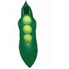 Costume Da Baccello Di Pisello Verde, Costume Da Baccello Di Pisello Lungo E