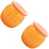 2 Pack Fioriera Autoirrigante Plantpot Di Fiore Pianta Succulenta