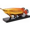 Statuetta di Pesce Arowana Dorato Pesce Dragone Decorativo Portafortuna