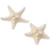 2 Pcs Ornamento Di Stelle Marine Ornamenti Per Decorazioni Acquari