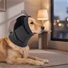 Fascia Calmante per Cani Regolabile Elastico