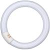 IMPERIA CIRCOLINA 3F 32W DAYLIGHT 6500K TRIFOSFORO