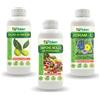 Fitokem Olio di Neem BIOLOGICO 1lt Sapone Molle di potassio 1lt Zoram L 1lt SNZ