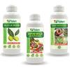 Fitokem Olio di Neem Biologico 1lt Sapone Molle di potassio 1lt Rame Protezione