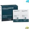 Bios Line Principium Collagene Marino - 20 buste da 3,5 gr Collagene idrolizzato