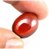 SHOLA Reale 26,46 Ct Granato Hessonite Naturale Di Ceylon