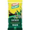 Terriccio Professionale per Cactacee e Piante Grasse 20L - Substrato Drenante