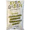 VIALCA EVERGREEN 25KG CONCIME NPK CON MAGNESIO E FERRO - PRATI SPAZI VERDI E GIARDINI