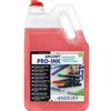 Interchem Detergente RIMOZIONE INCHIOSTRO -Argonit Pro-Ink 5 LT Interchem Pulitore Macchie