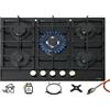 Phönix Germany Phoenix PG-901T Montaggio Piano Cottura a Gas di Vetro Fornello 5 Piastre Autark