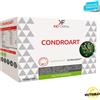 KEFORMA CONDROART 30 bustine
