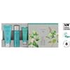 ARTISTRY Kit Artistry Skin Nutrition set da viaggio Amway