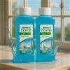 Amway 2x L.O.C. Amway Home - 2 Detergenti Vetri Concentrati-Pulizia vetri Senza Aloni✨