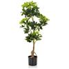 HJH Office 871015 Pianta artificiale SCHEFFLERA Aralia artificiale altezza 100 c