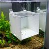 Box Isolamento Acquario Apertura Superiore Box Allevamento Avannotti