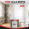 San Marco IDROPITTURA TRASPIRANTE IGIENIZZANTE ANTIMUFFA PER INTERNI BIANCO COMBAT 1000
